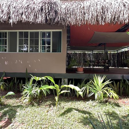 Monkey Lodge Panama Chilibre Екстер'єр фото