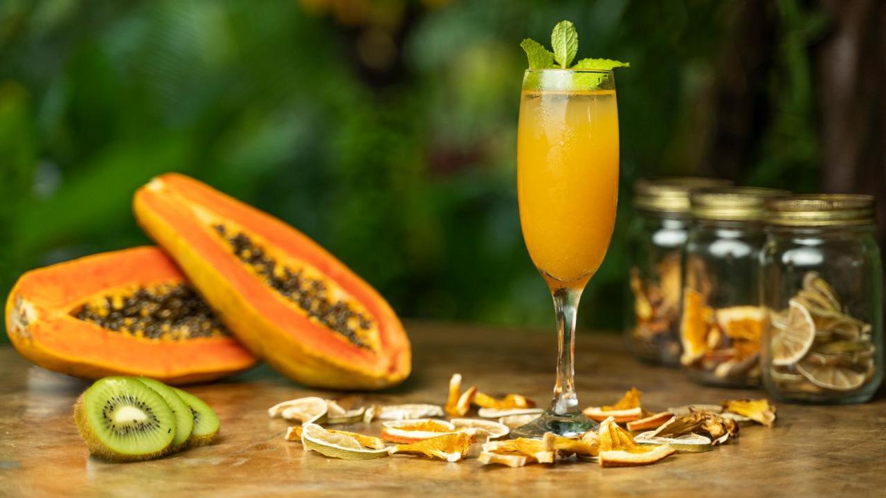 Monkey Lodge Panama Chilibre Екстер'єр фото