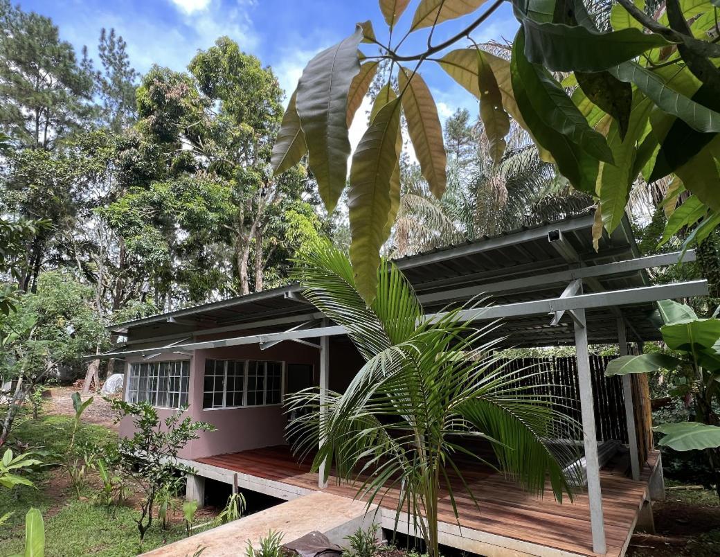 Monkey Lodge Panama Chilibre Екстер'єр фото
