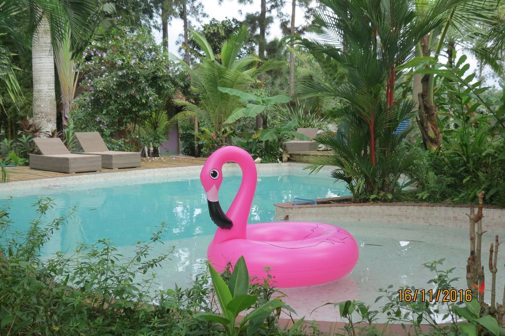Monkey Lodge Panama Chilibre Екстер'єр фото